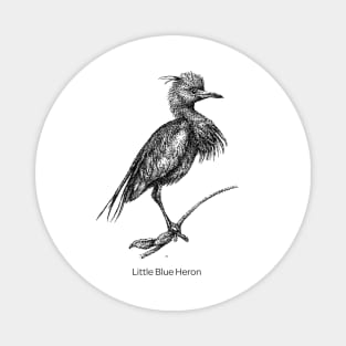 Little Blue Heron Bird Magnet